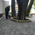Укладка тротуарной плитки